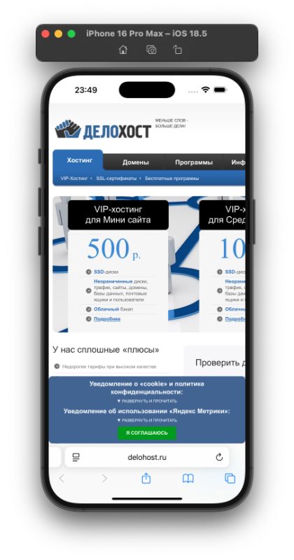 Требования Роскомнадзора на delohost.ru
