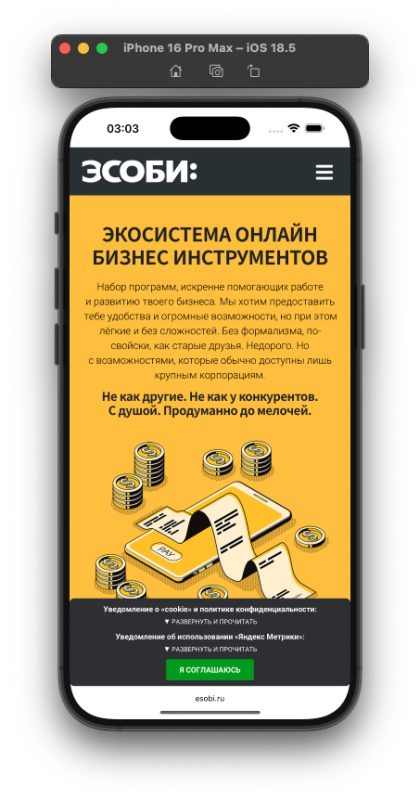 Требования Роскомнадзора на esobi.ru