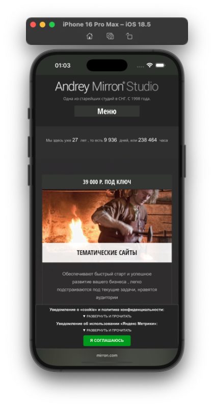 Требования Роскомнадзора на mirron.com