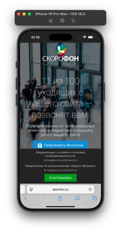 Требования Роскомнадзора на skorofon.ru