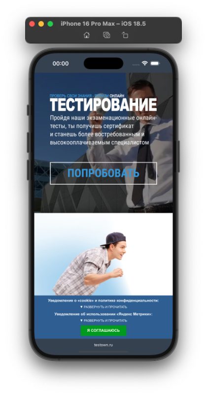 Требования Роскомнадзора на testown.ru